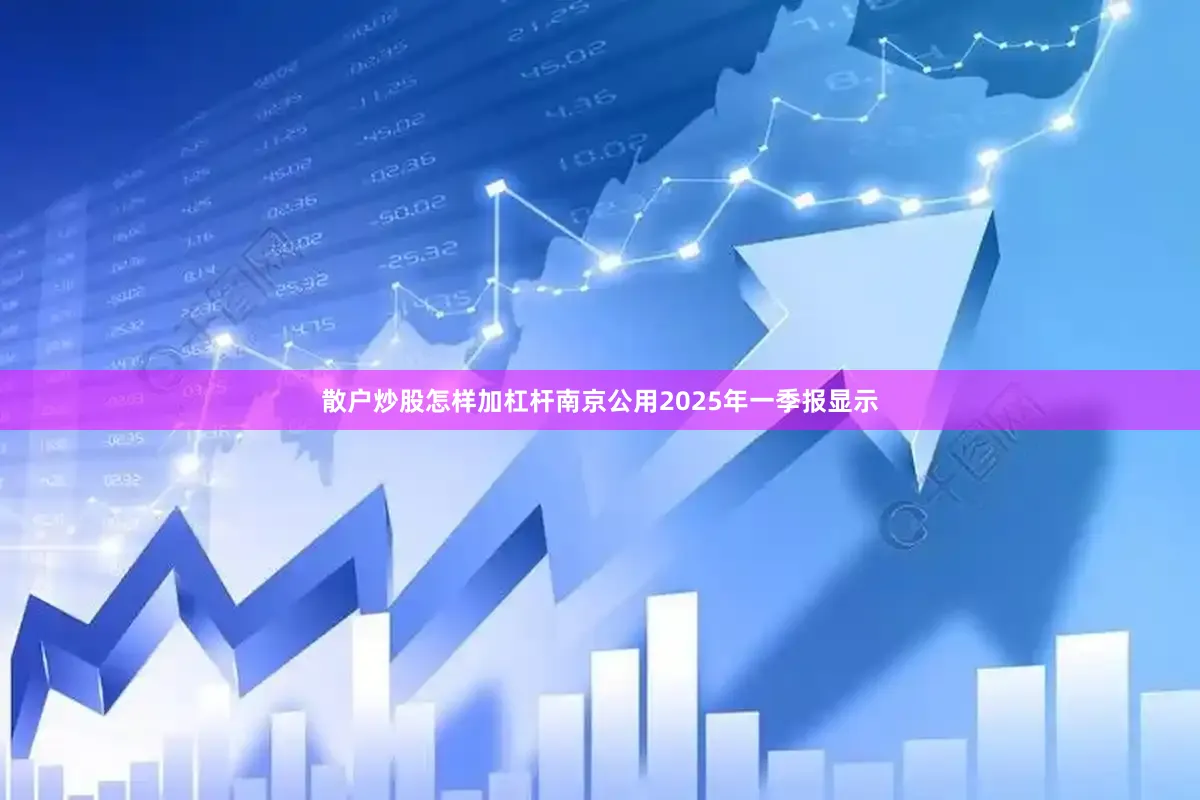 散户炒股怎样加杠杆南京公用2025年一季报显示