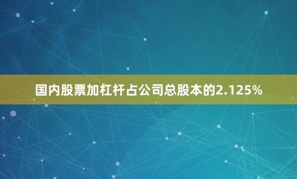 国内股票加杠杆占公司总股本的2.125%
