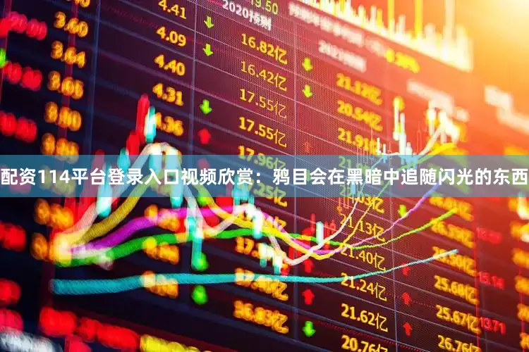 配资114平台登录入口视频欣赏：鸦目会在黑暗中追随闪光的东西